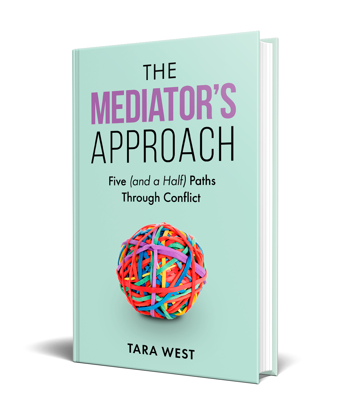 The Mediator's Approach book cover